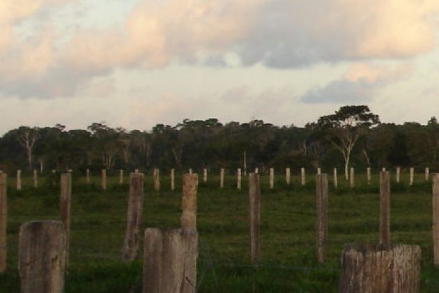 BrasilPlayas.231, luxury villa in Arraial d'Ajuda Bahia